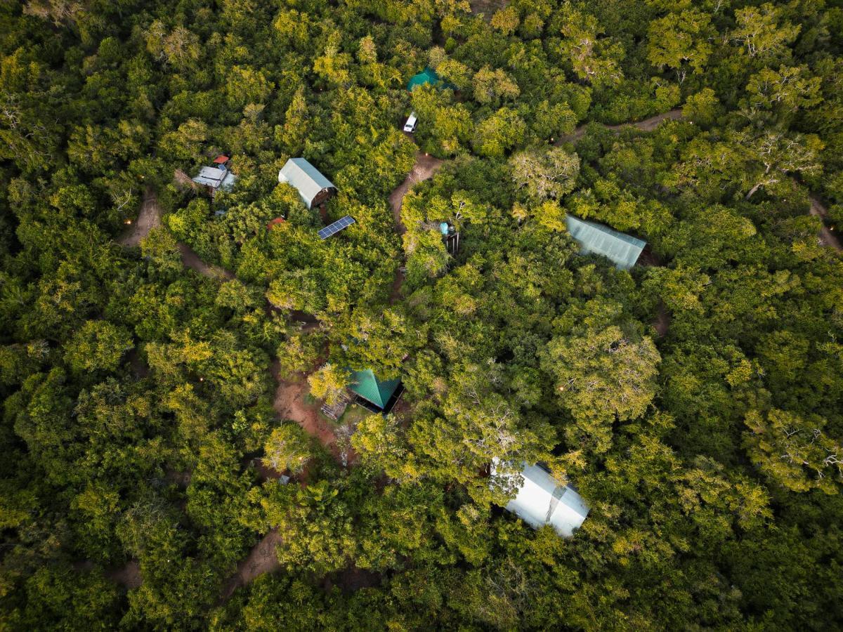 Leopard Reach Yala By Seven Angels Hotel Tissamaharama Buitenkant foto