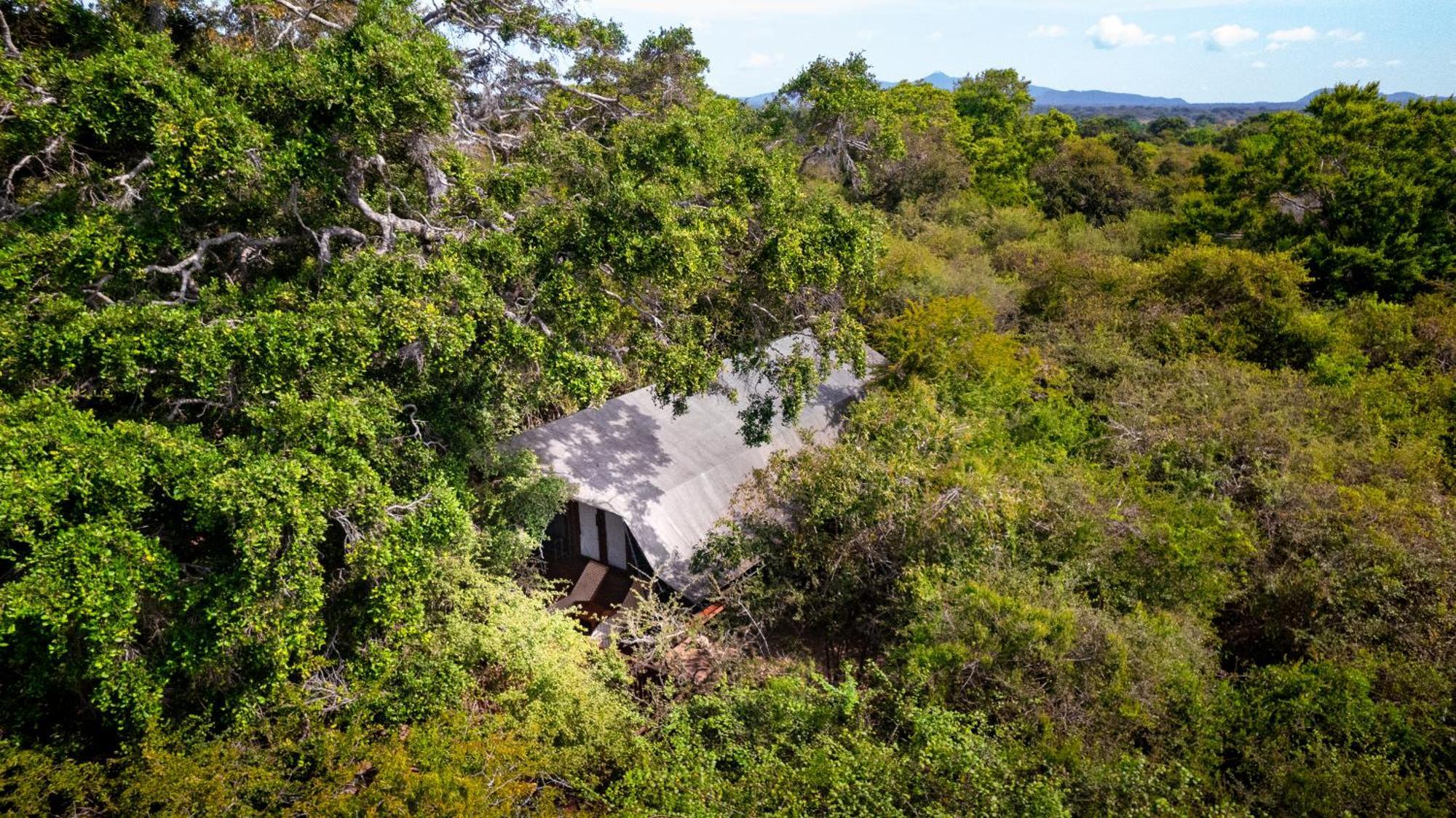 Leopard Reach Yala By Seven Angels Hotel Tissamaharama Buitenkant foto